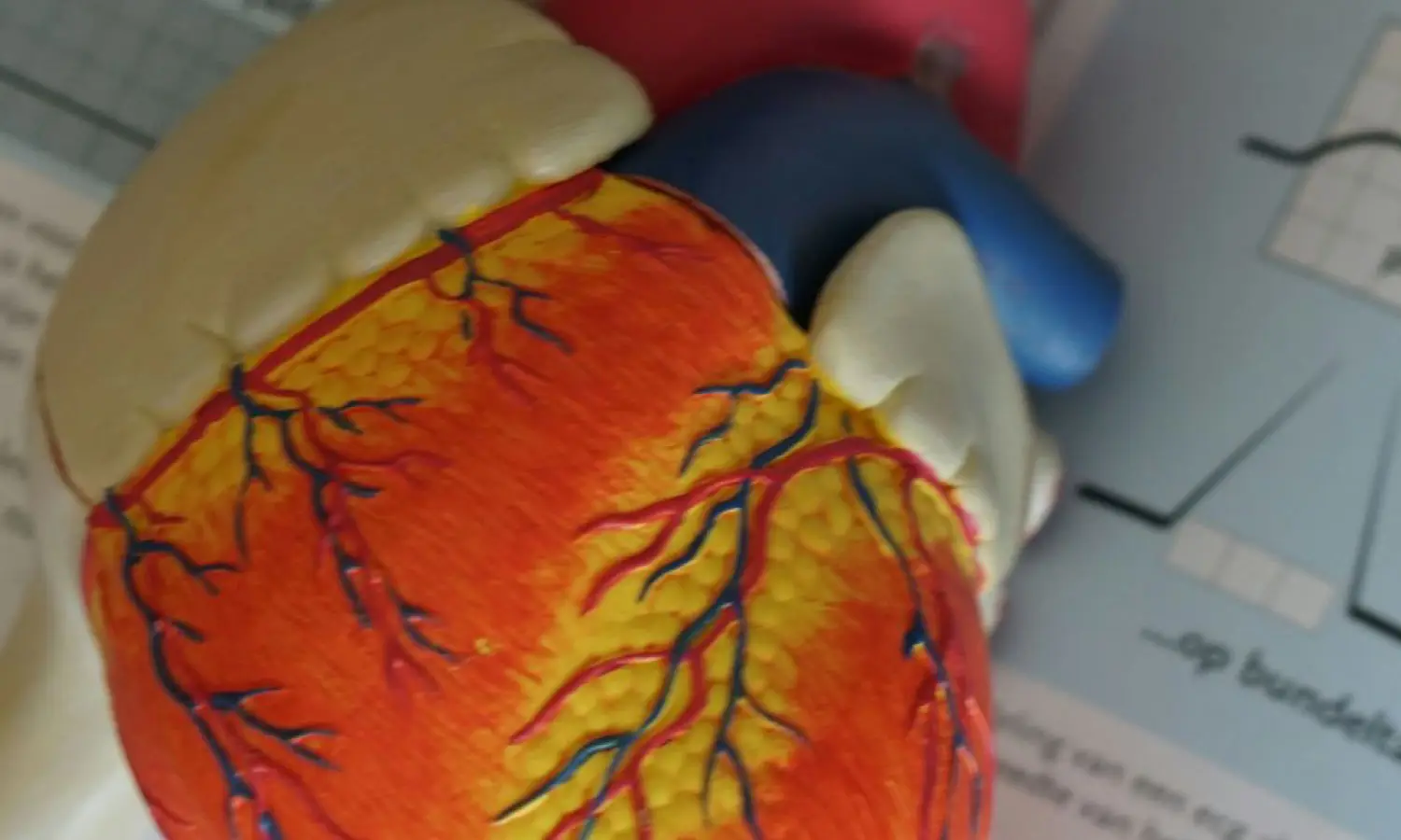 Bases de Cardiología