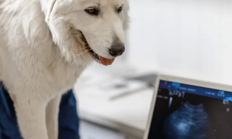 Otros métodos complementarios